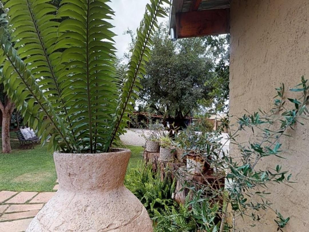Cradle Valley Boutique Guesthouse マルデールスドリフト エクステリア 写真