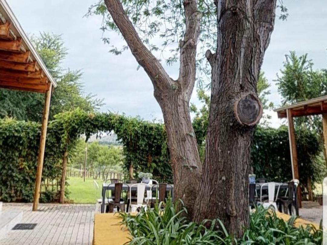 Cradle Valley Boutique Guesthouse マルデールスドリフト エクステリア 写真